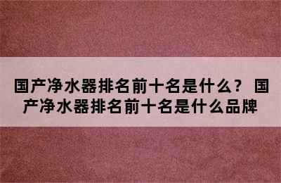 国产净水器排名前十名是什么？ 国产净水器排名前十名是什么品牌